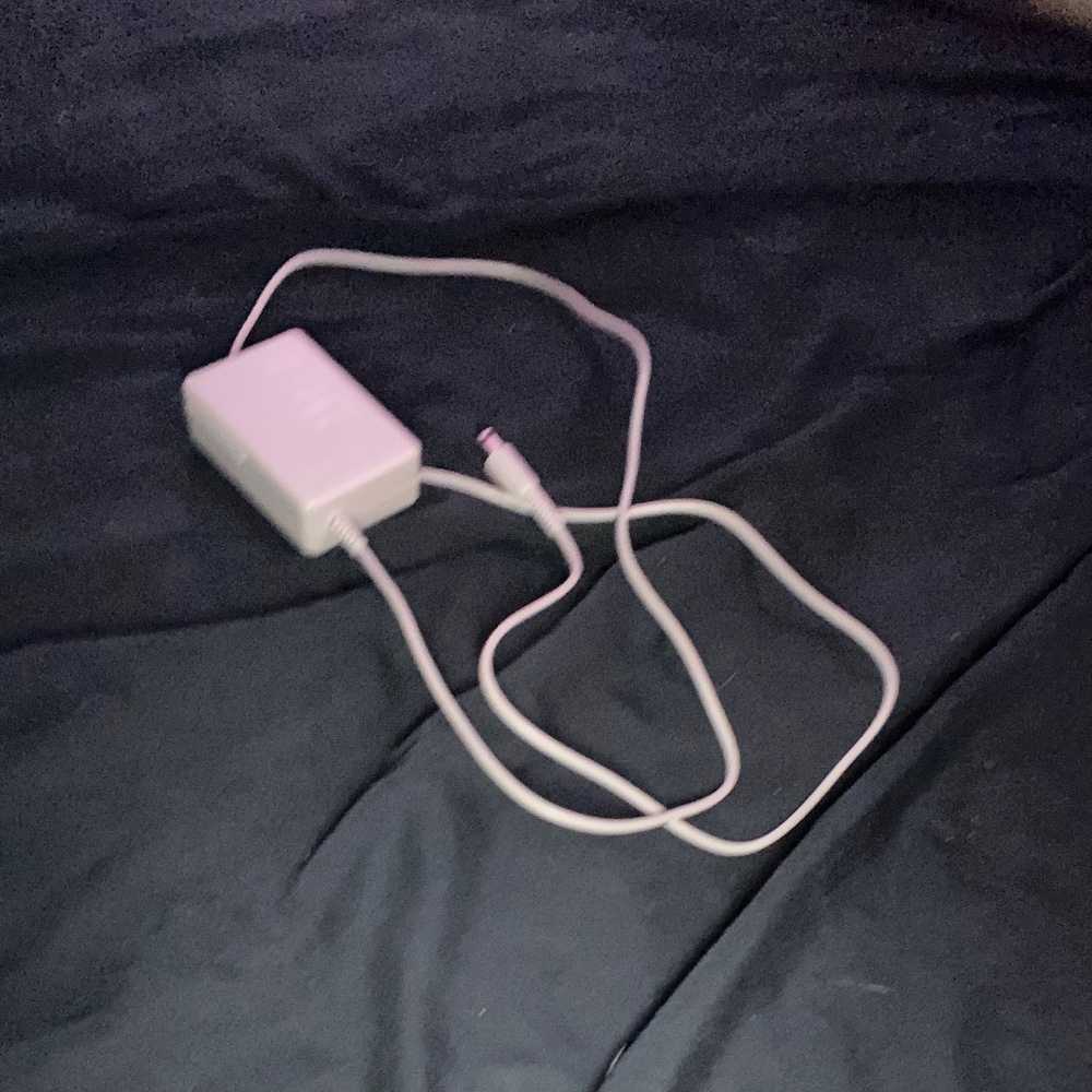 Nintendo 3DS Charger